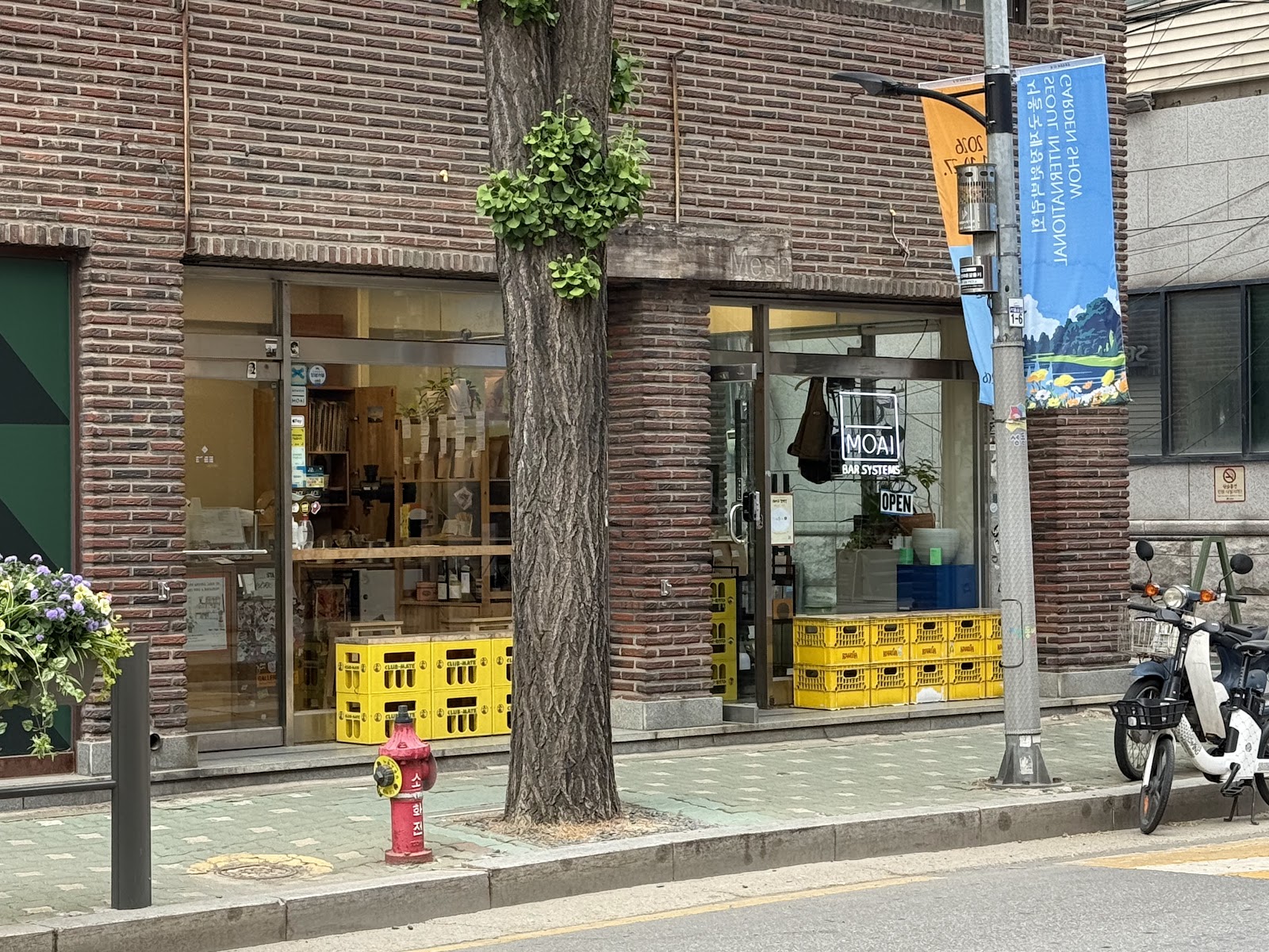 Beyond the Red Bricks: 4 Essential Seongsu-Dong Cafes Local Trendsetters Can't Stop Visiting