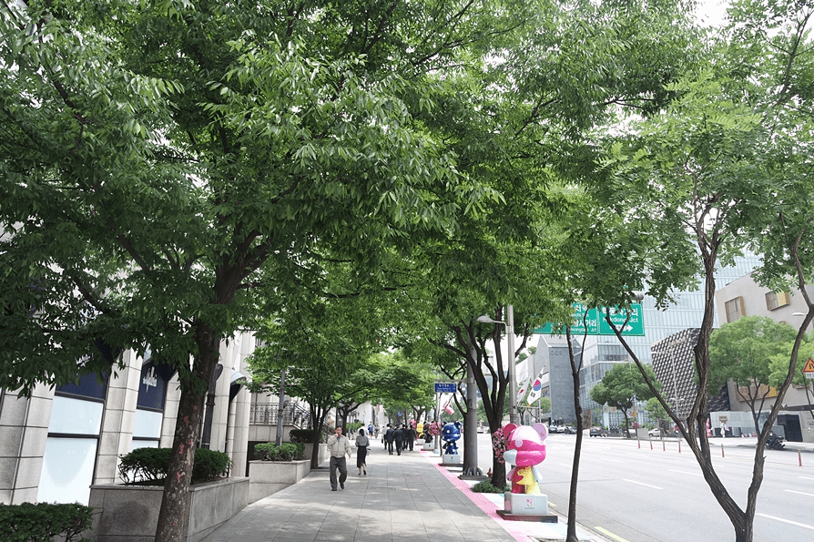 K-Star Road tree-lined boulevard with GangnamDol statues